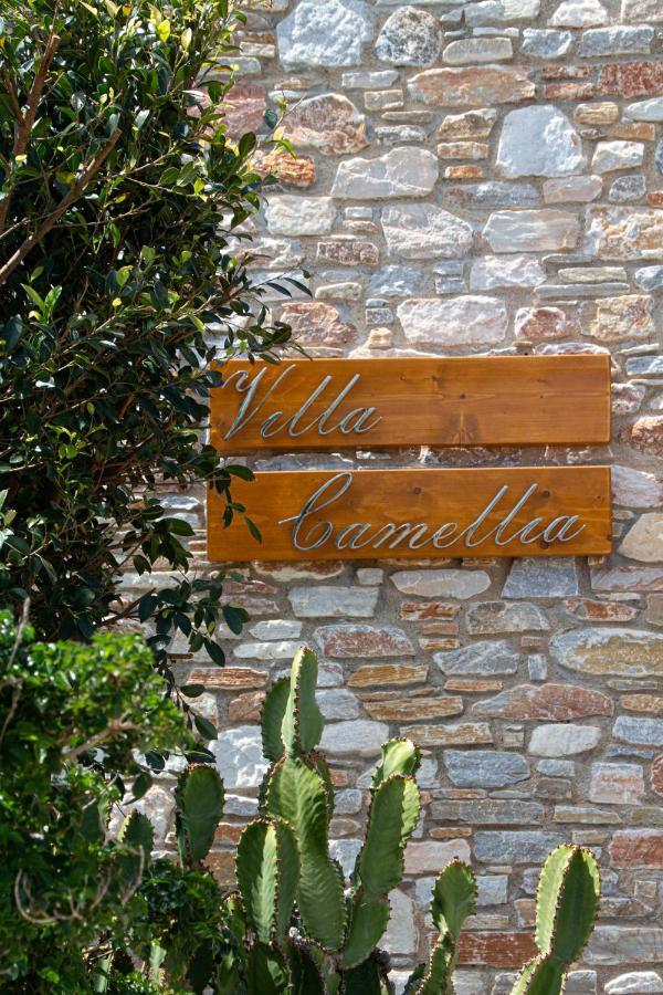Villa Camellia Liaropá Eksteriør billede